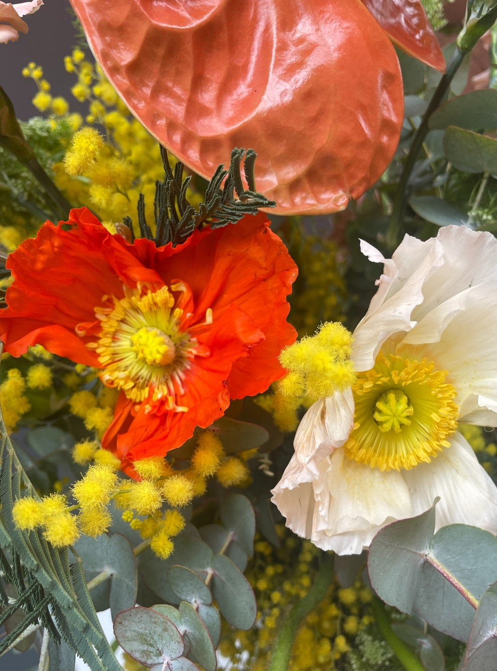 RAMO SPRING