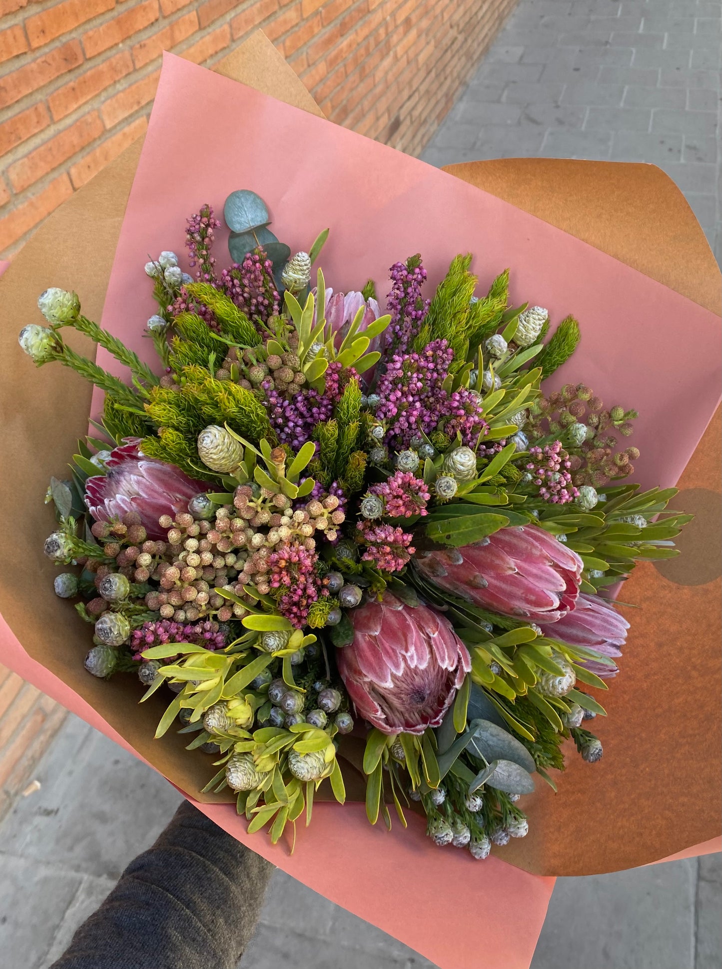 RAMO DE PROTEAS